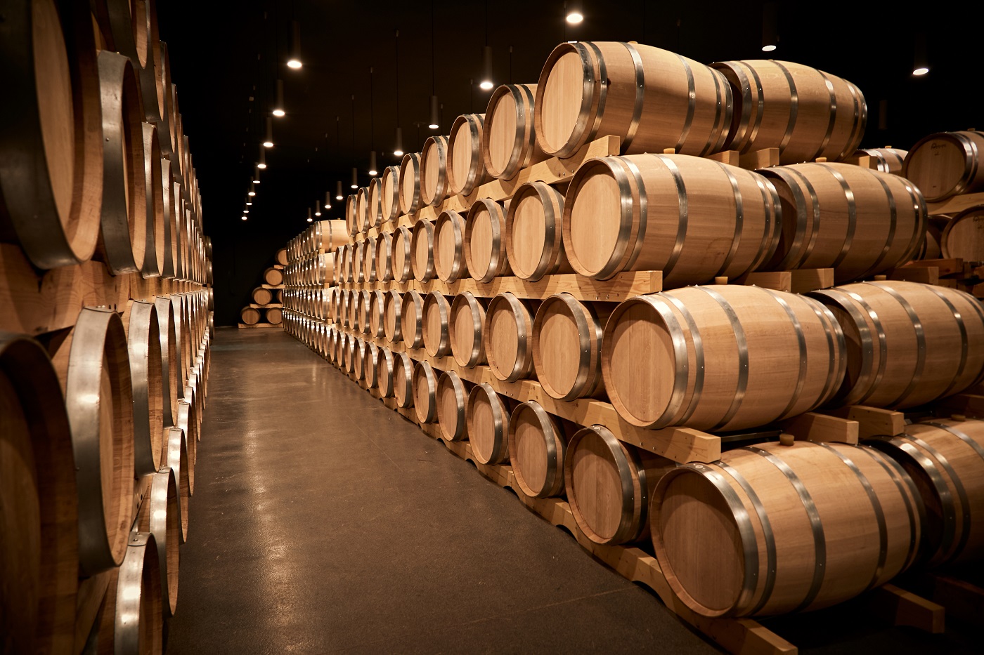 barricas de vinho