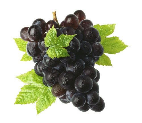 Com quantas uvas se faz uma garrafa de vinho?