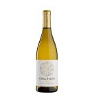 vinhos para o verão