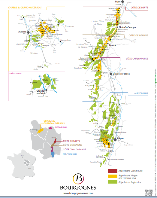vinhos da borgonha