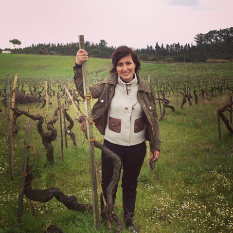 vinho e sustentabilidade