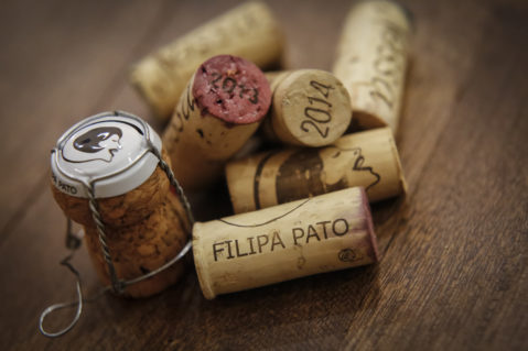 mitos e verdades sobre vinhos