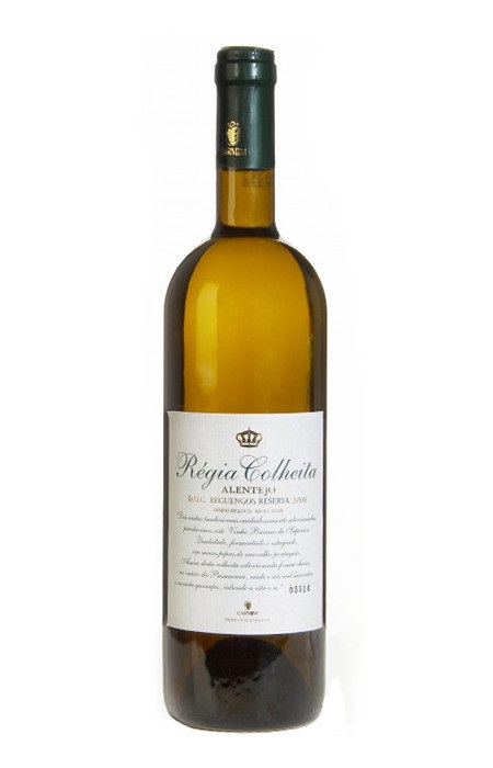 vinho branco regia colheita