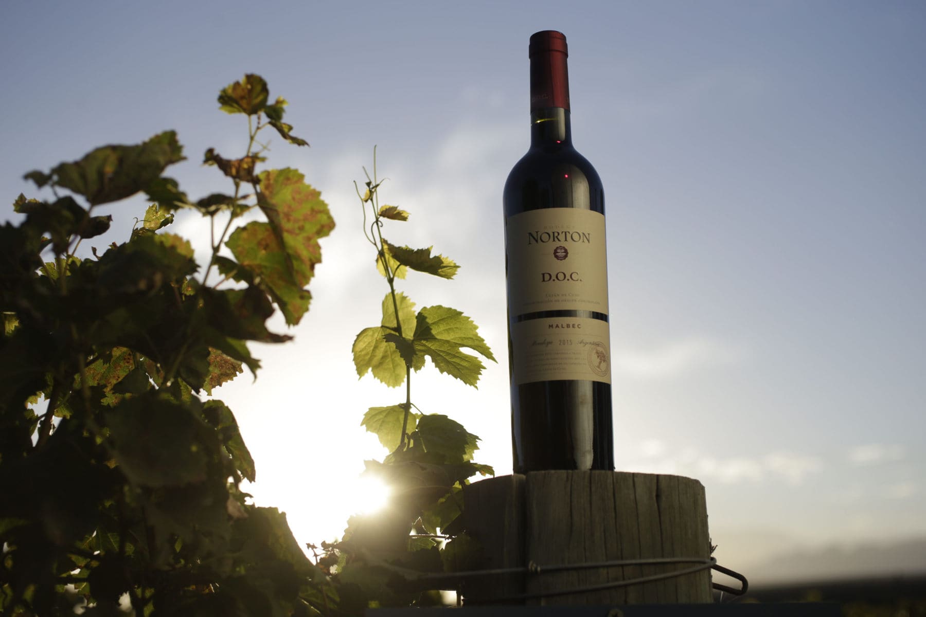 Norton DOC Malbec da Bodega Norton