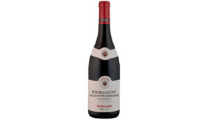 Bourgogne Hautes Côtes de Beaune Les Alouettes Maison Moilllard