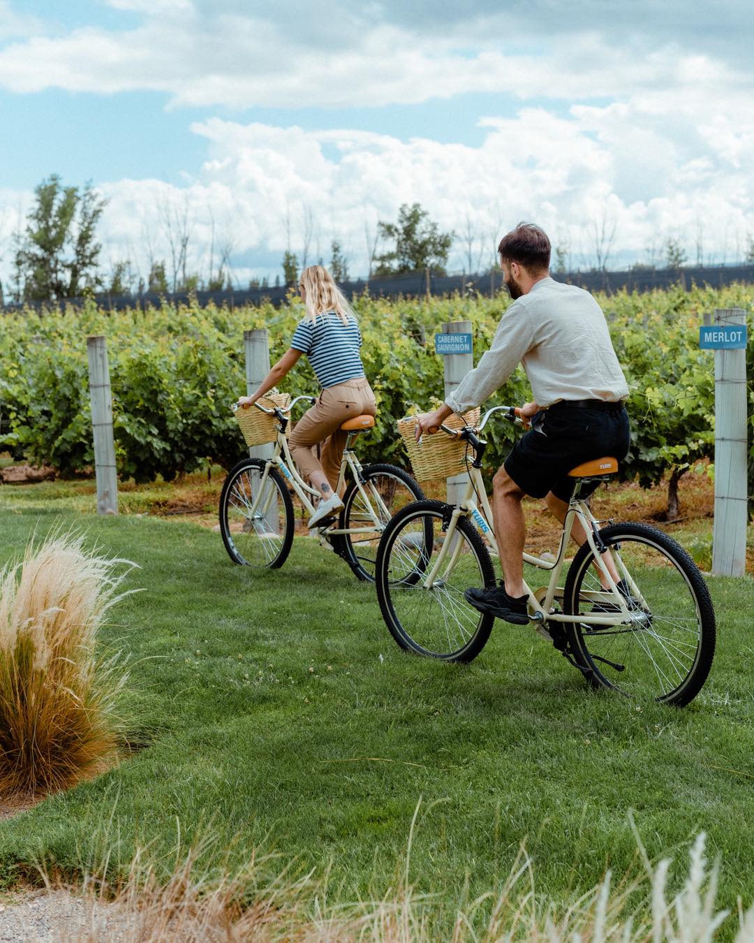 passeio de bicicleta na bodega norton