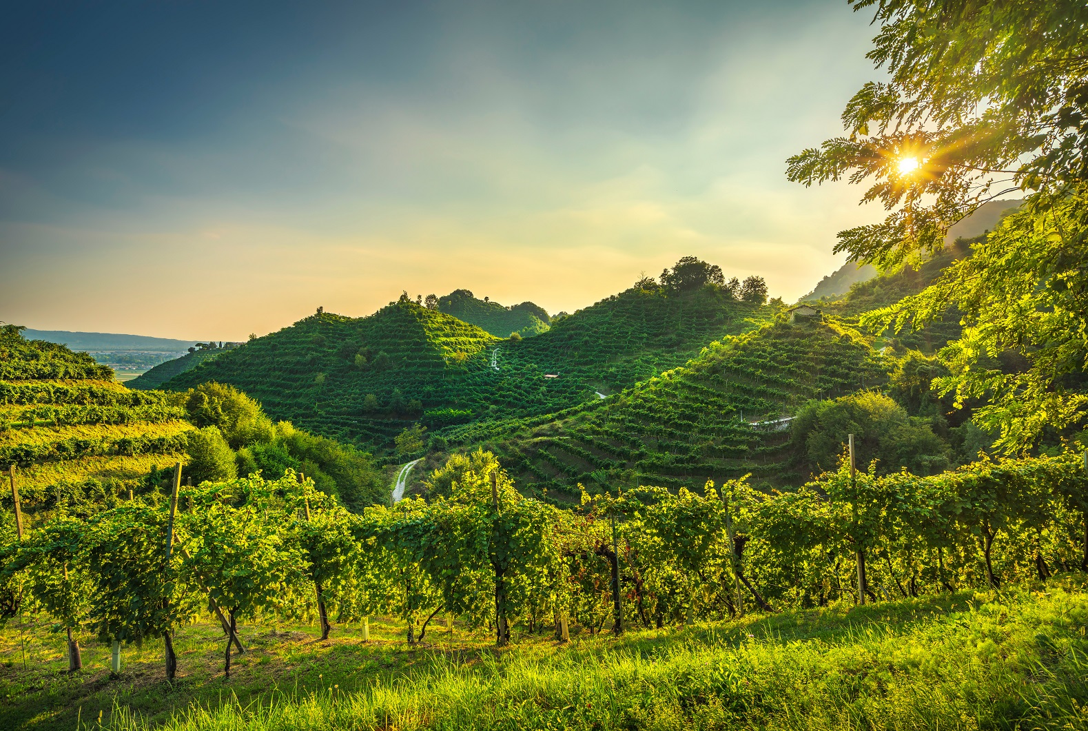 colinas do Vêneto onde se produz o espumante prosecco
