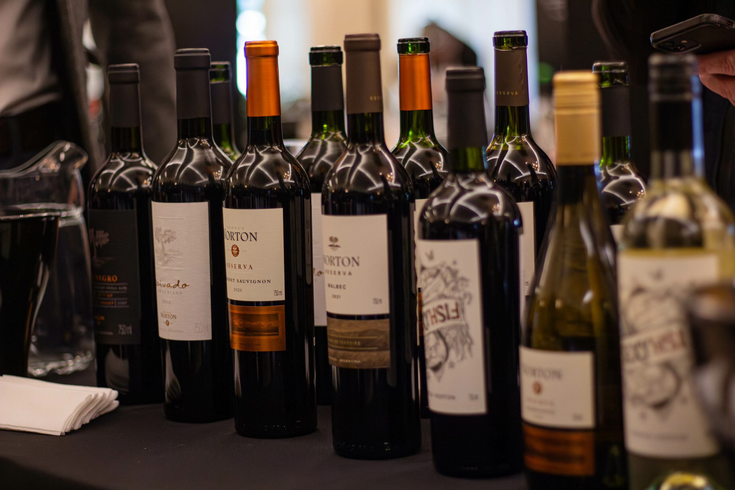 Vinhos Norton Wine Tasting Porto a Porto