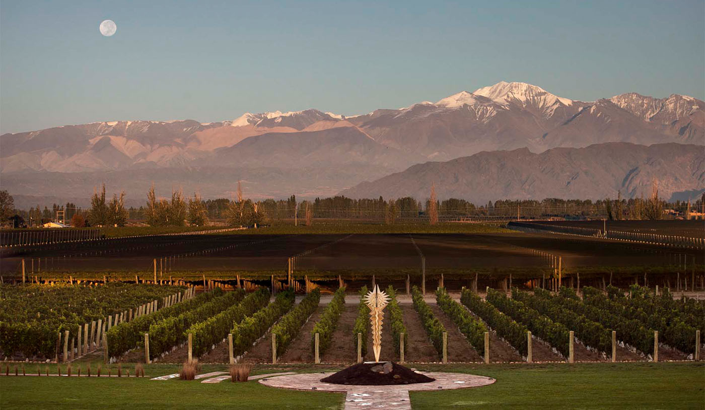 Vinhos de altitude: o que são e quais suas características