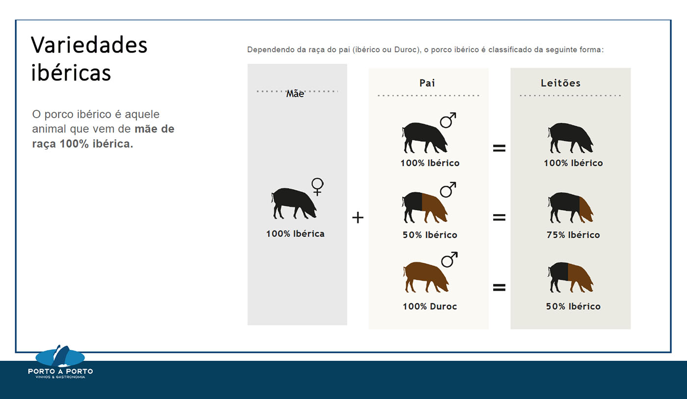 O que é porco ibérico