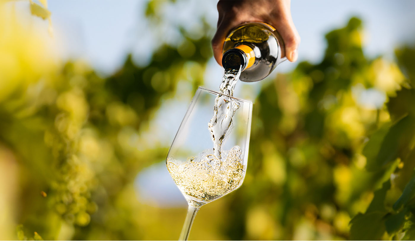 Dia da Sauvignon Blanc: 5 rótulos imperdíveis de cinco países