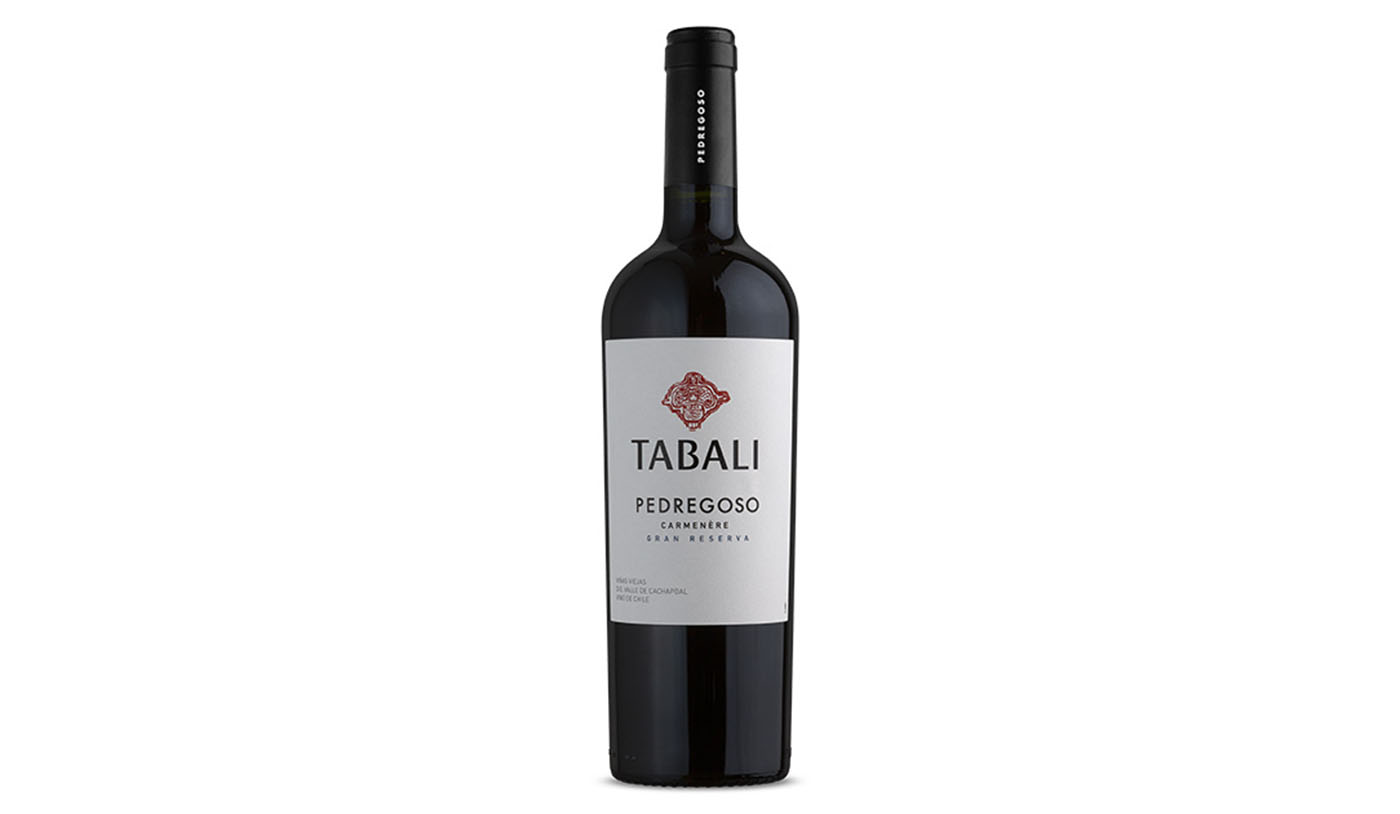 Tabali Pedregoso Carmenere