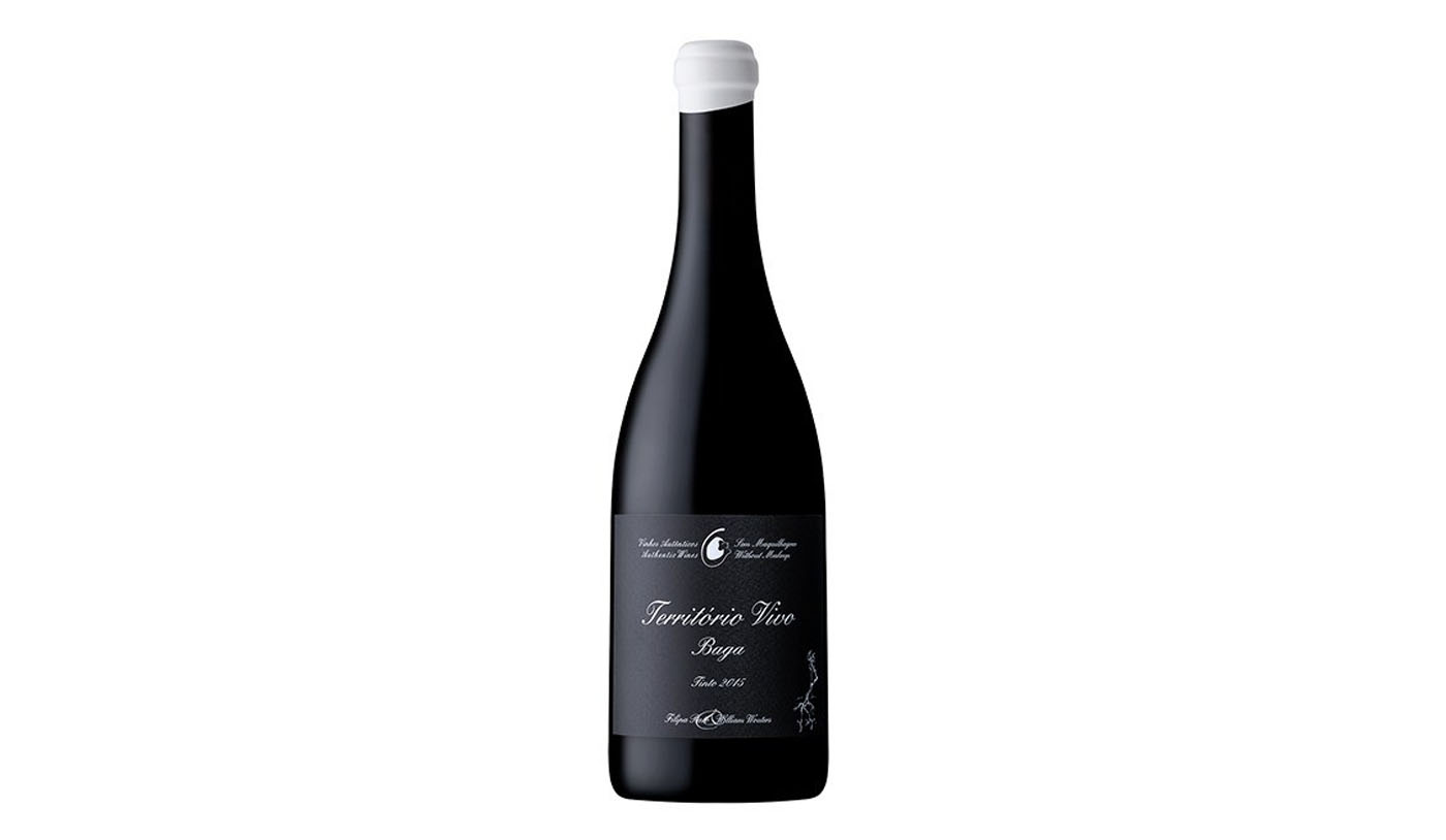 vinho tinto Território Vivo Baga