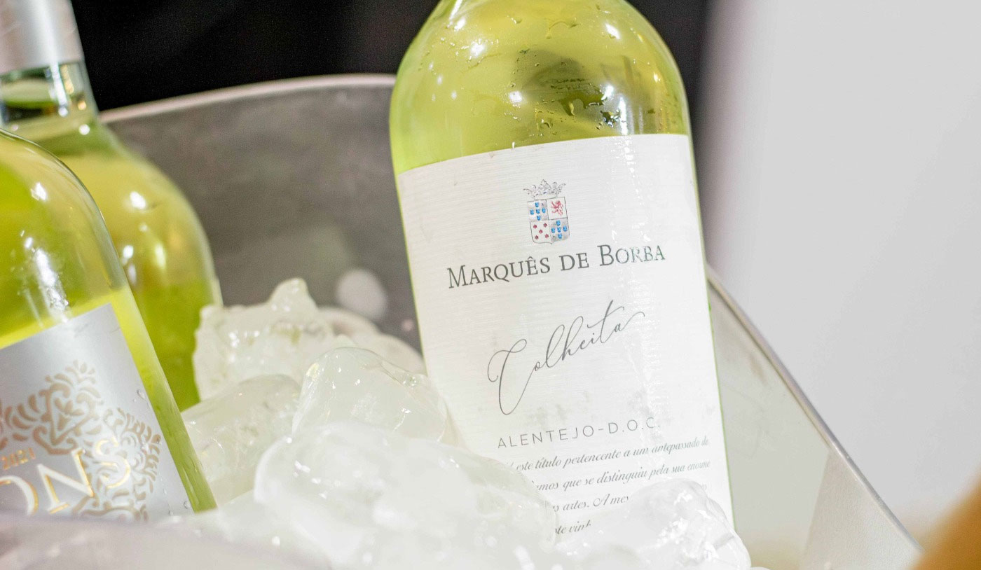 Se você gosta de Sauvignon Blanc, prove a uva Antão Vaz