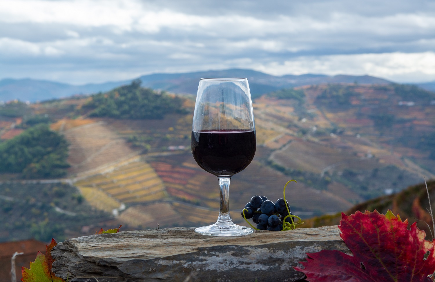 vinho do porto