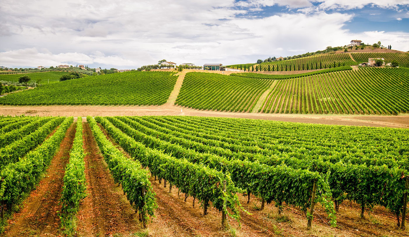 Montepulciano d’Abruzzo X Vino Nobile de Montepulciano: diferenças entre os vinhos