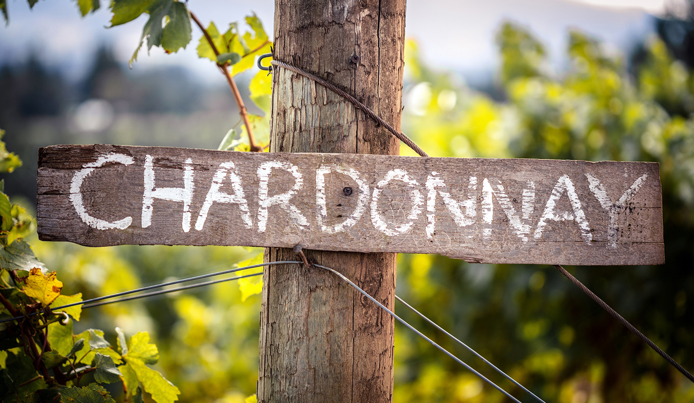 Dia da Chardonnay: 5 vinhos elegantes da Argentina