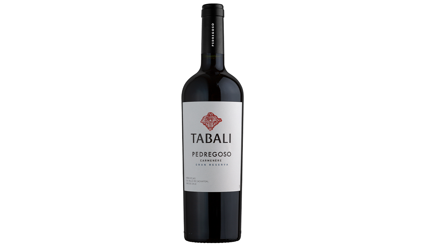 vinho tinto chileno Tabali Pedregoso Gran reserva Carmenere