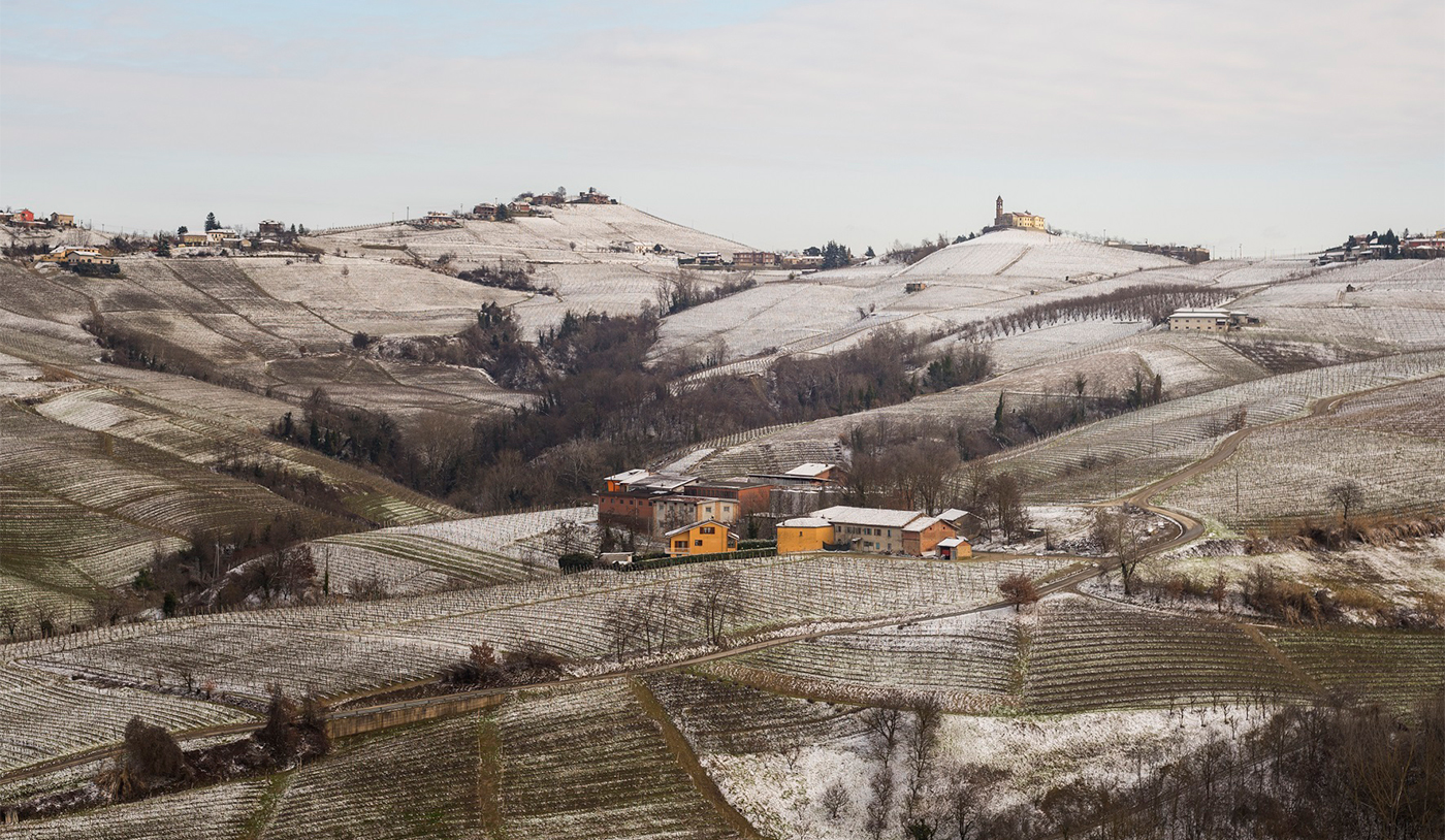 Paisagem dos vinhedos do Piemonte no inverno